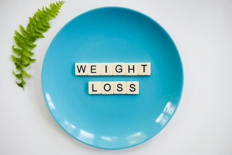 Basal Metabolic Rate Meaning